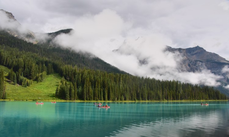 Ловля лосося на Камчатке Ловля лосося на Камчатке